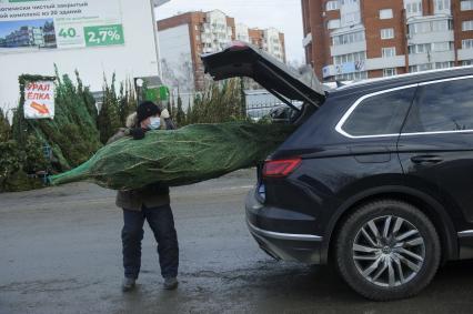 Екатеринбург. Елочный базар на одной из центральных улиц города