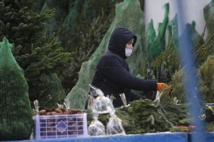 Екатеринбург. Елочный базар на одной из центральных улиц города