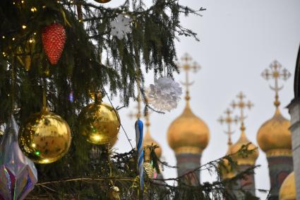 Москва.  Украшенная новогодняя елка на Соборной площади Московского Кремля и купола Теремных церквей.