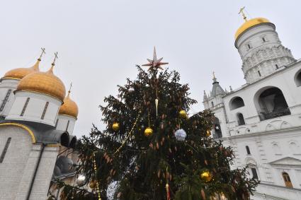 Москва. Украшенная новогодняя елка на Соборной площади Московского Кремля.