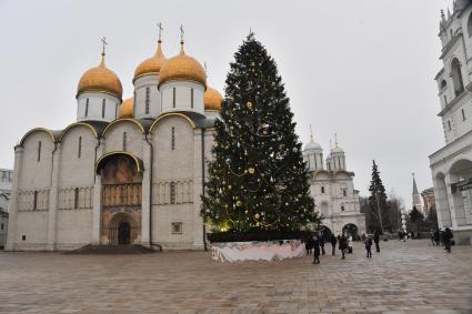 Москва. Украшенная новогодняя елка на Соборной площади Московского Кремля.