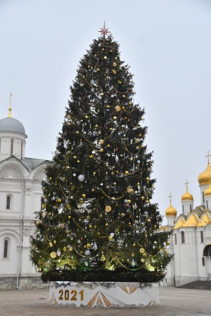 Москва. Украшенная новогодняя елка на Соборной площади Московского Кремля.