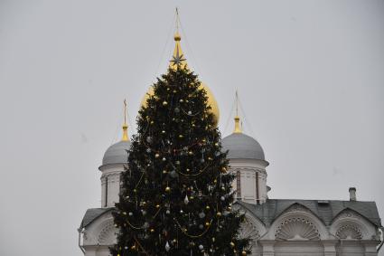 Москва. Украшенная новогодняя елка на Соборной площади Московского Кремля.