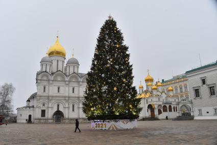 Москва. Украшенная новогодняя елка на Соборной площади Московского Кремля.