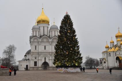 Москва. Украшенная новогодняя елка на Соборной площади Московского Кремля.