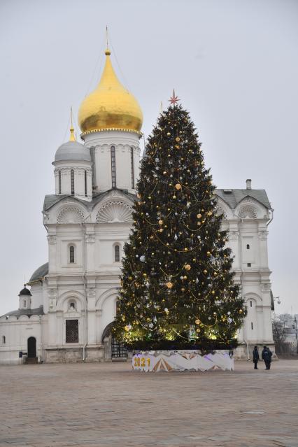 Москва. Украшенная новогодняя елка на Соборной площади Московского Кремля.