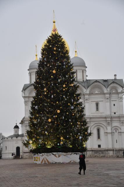 Москва. Украшенная новогодняя елка на Соборной площади Московского Кремля.