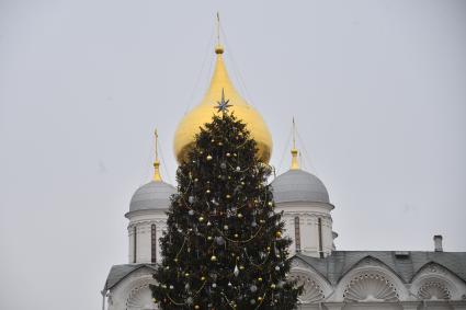 Москва. Украшенная новогодняя елка на Соборной площади Московского Кремля.