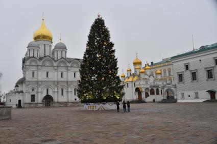 Москва. Украшенная новогодняя елка на Соборной площади Московского Кремля.