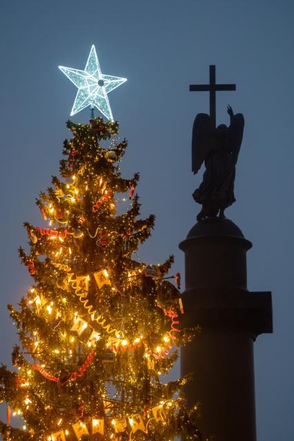 Санкт-Петербург. Главная новогодняя ель на Дворцовой площади.