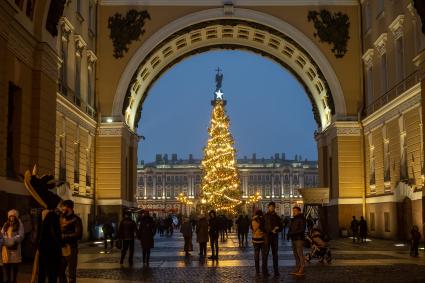 Санкт-Петербург. Главная новогодняя ель на Дворцовой площади.