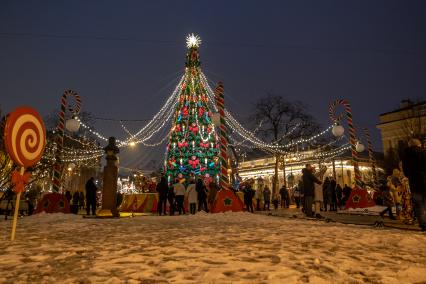 Санкт-Петербург. Посетители на рождественской  ярмарке на Манежной площади .