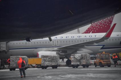 Москва.  Самолет в международном аэропорту Шереметьево.