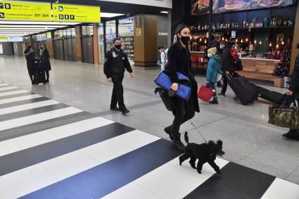 Москва.  Пассажиры в международном аэропорту Шереметьево.