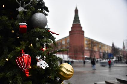 Москва.  Новогодняя елка на Манежной площади.