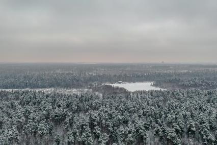 Москва. Парк Лосиный остров.