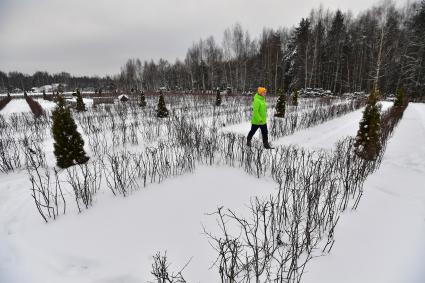 Москва. Лабиринт в парке Лосиный остров.