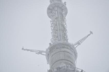 Москва. Вид на обледеневшую Останкинскую телебашню.