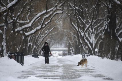 Екатеринбург. Женщина гуляет с собакой во время зимних морозов