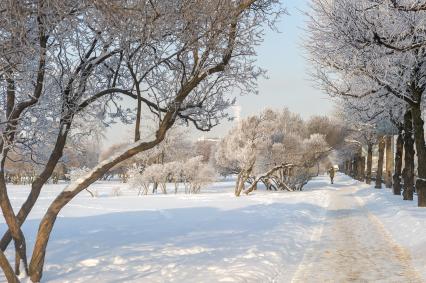 Санкт-Петербург. Заснеженный город.