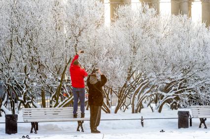 Санкт-Петербург. Мужчины фотографируют заснеженные деревья.