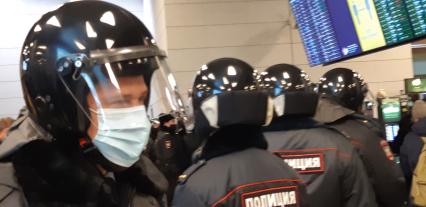 Москва. Сотрудники полиции в международном аэропорту Внуково.