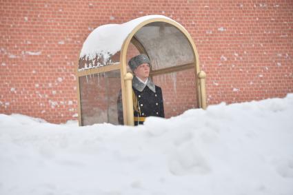 Москва. В Александровском саду после снегопада.