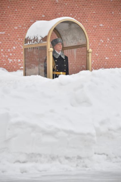 Москва. В Александровском саду после снегопада.