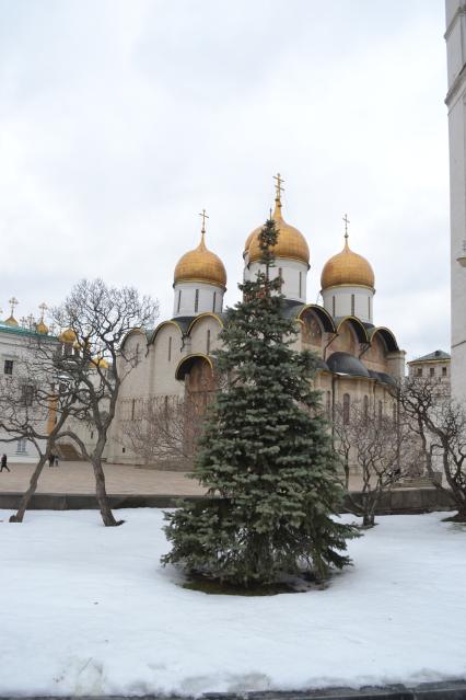 Москва.  Вид на Успенский собор Московского Кремля.