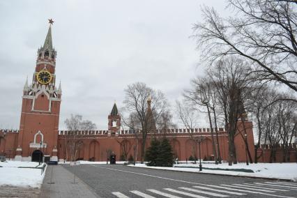 Москва.  Вид на Спасскую башню Московского Кремля.