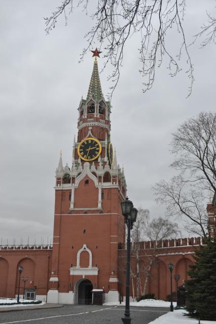 Москва.  Вид на Спасскую башню Московского Кремля.