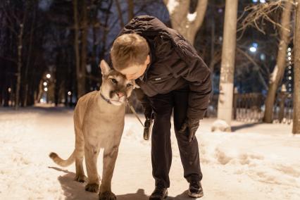 Москва. Сергей Татаринцев и его питомец пума Геркулес на прогулке.