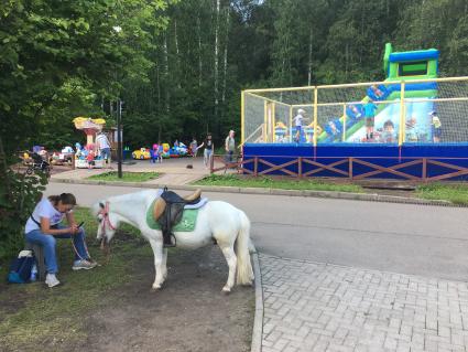 Москва. Парк в зоне отдыха `Тропарево`.