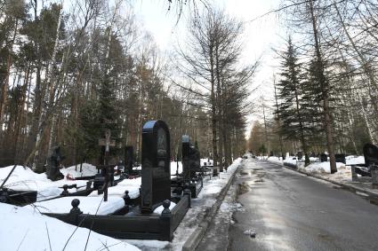 Москва.  Одна из аллей на Востряковском кладбище.