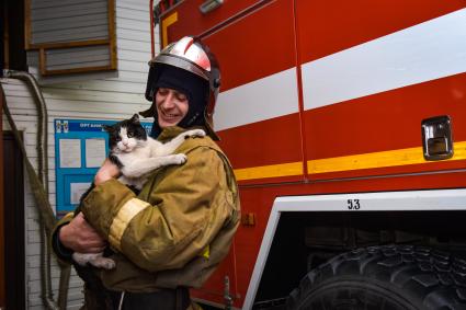 Новосибирская область, Мочище. Кот по кличке Гидрант, которого спасли новосибирские пожарные и приютили у себя в части #111.