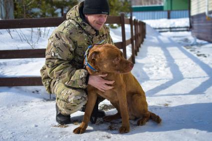 Новосибирск. Собака Хати, брошенная хозяином в аэропорту Анапы, переехала в новосибирский питомник и ожидает нового хозяина.