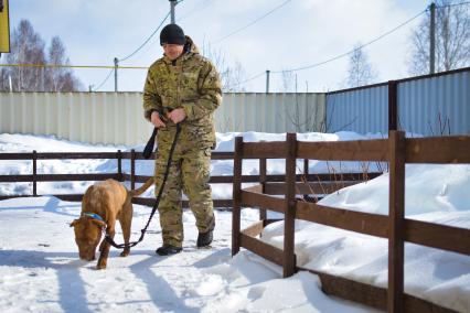 Новосибирск. Собака Хати, брошенная хозяином в аэропорту Анапы, переехала в новосибирский питомник и ожидает нового хозяина.