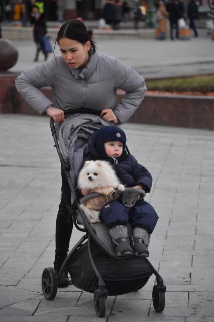 Москва. Женщина везет ребенка и собаку в детской коляске.