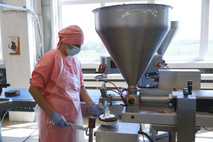 Барнаул. Работница наносит крем на корж с помощью дозатора на кондитерской фабрике.