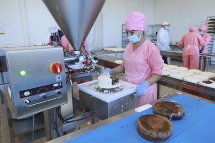 Барнаул. Работница наносит крем на торт с помощью дозатора на кондитерской фабрике.