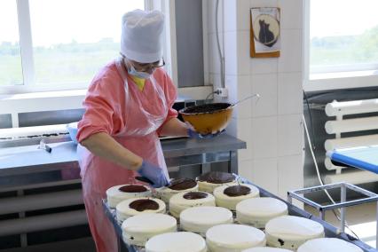 Барнаул. Работница наносит глазурь на торт на кондитерской фабрике.