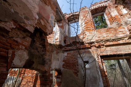 Московская облась, Домодедовский район. Вид на развалины усадьбы Кузьминское.