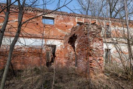 Московская облась, Домодедовский район. Вид  на развалины усадьбы Кузьминское.