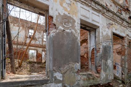 Московская облась, Домодедовский район. Вид на развалины усадьбы Кузьминское.