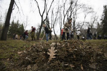 Екатеринбург. Сотрудники администрации города Екатеринбурга вышли на общегородской субботник в Дендрологический парк