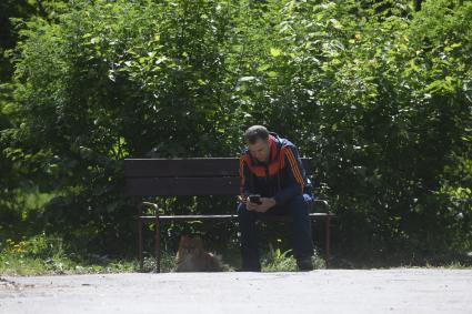 Екатеринбург. Мужчина с собакой гуляет в парке