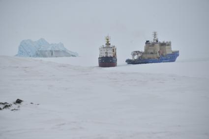 Архангельская область. Российские корабли осваивают Северный морской путь у берегов  острова Земля Александры архипелага Земля Франца-Иосифа.