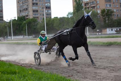 Москва. Центральный ипподром. Бега.