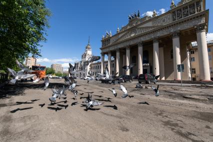 Москва. Центральный ипподром.