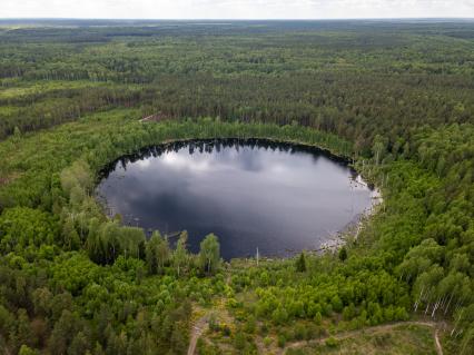 Московская область.  Вид сверху на озеро  Смердячье в Шатурском районе.